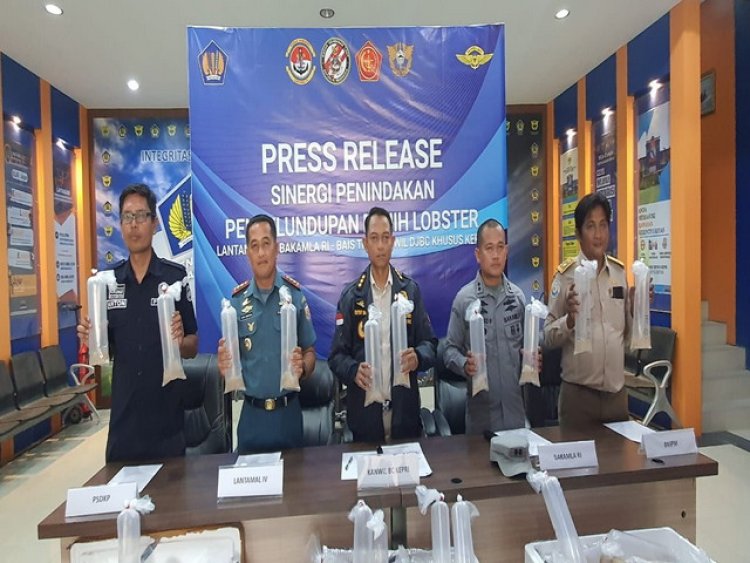 Bakamla RI Gagalkan Penyelundupan Benih Lobster Senilai 19 Miliar