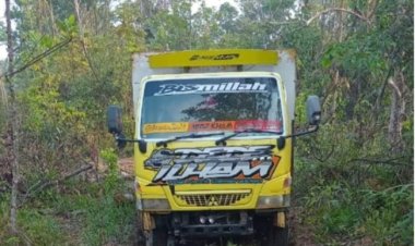 Diduga Pemberitaan penebangan Liar Di Lahan Perhutani Seret Nama Oknum Dinas Adalah Hoak