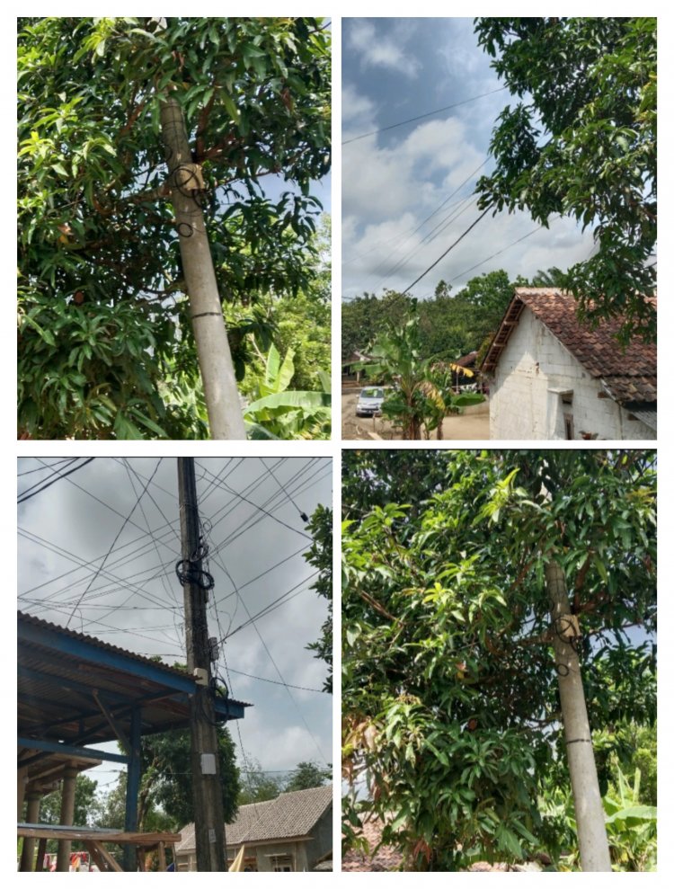 Publik Geram, Kabel PLN Di Munjul Masih Terjuntai Meski Di Klaim Sudah Diperbaiki