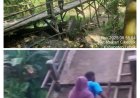 Kondisi Kritis Jembatan Blengbeng: Warga Resah, Aparat Desa dan TNI Turun ke Lokasi