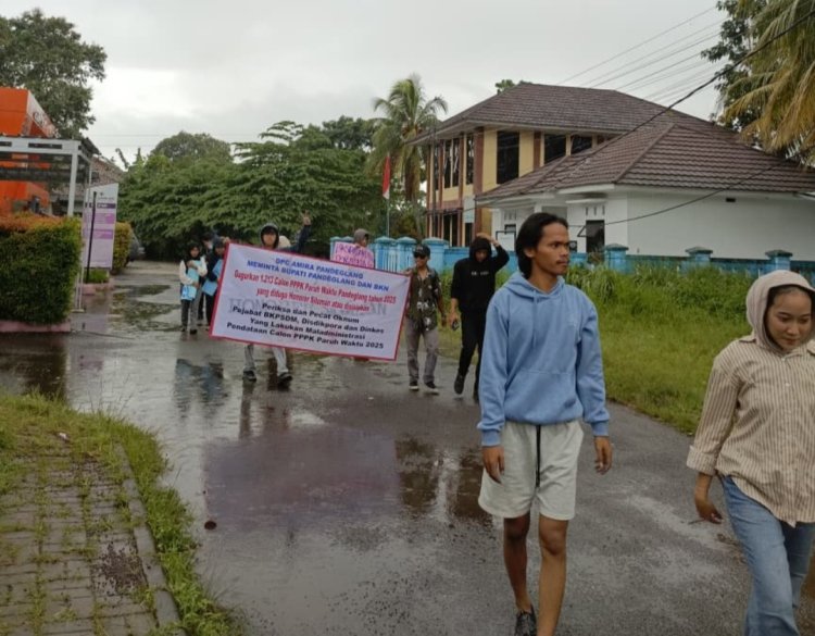 1.213 P3K Paruh Waktu Pandeglang 2025 Diduga Honorer Siluman, DPC AMIRA Tutut Lakukan Pemeriksaan