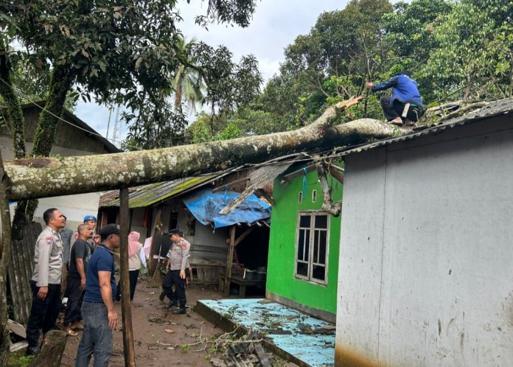 Gerak Cepat Polsek Cikedal Evakuasi Pohon Tumbang Yang Timpa Rumah Warga Cipicung Cikedal