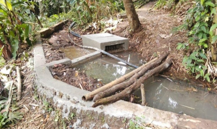 Progam Pipanisasi Desa Desa Ciandur Dinilai Tak Bermanfaat, Buang Buang Anggaran.