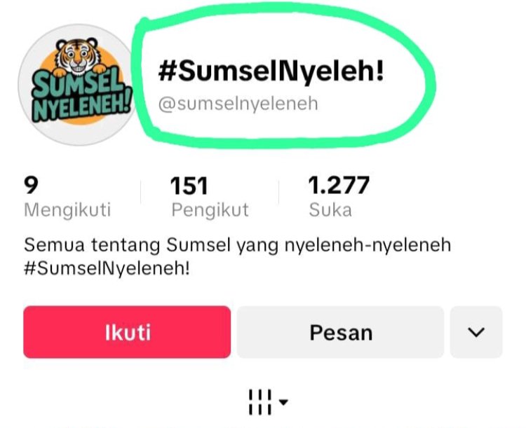 PPAM Indonesia: Anak Jadi Korban Konten, Pemilik Akun “Sumsel Nyeleneh” Tak Bermoral dan Layak Diproses Hukum