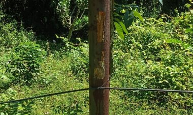 Pemasangan Kabel Internet Di Duga Asal Asalan Masyarakat Pandeglang Desak Ada Sidak  ‎