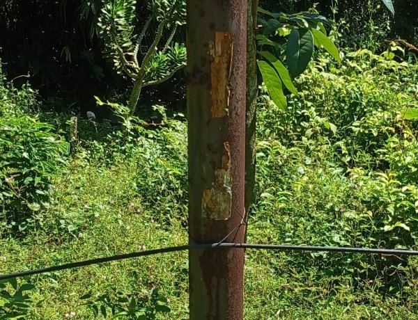 Pemasangan Kabel Internet Di Duga Asal Asalan Masyarakat Pandeglang Desak Ada Sidak  ‎