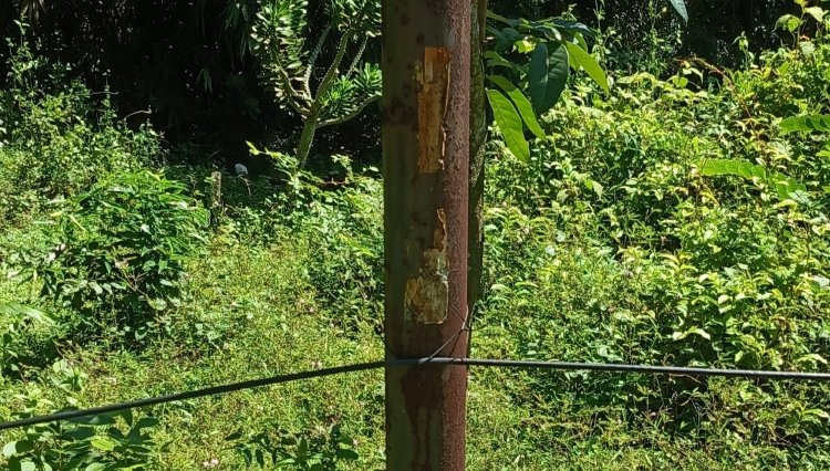 Pemasangan Kabel Internet Di Duga Asal Asalan Masyarakat Pandeglang Desak Ada Sidak  ‎