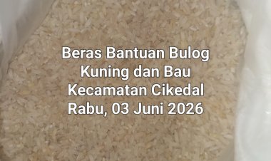 Bantuan Beras Bulog Periode Mei-Juni 2026, Di Kecamatan Cikedal Pandeglang, Berwarna Kuning & Apek