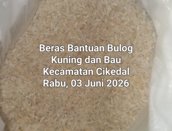 Bantuan Beras Bulog Periode Mei-Juni 2026, Di Kecamatan Cikedal Pandeglang, Berwarna Kuning & Apek