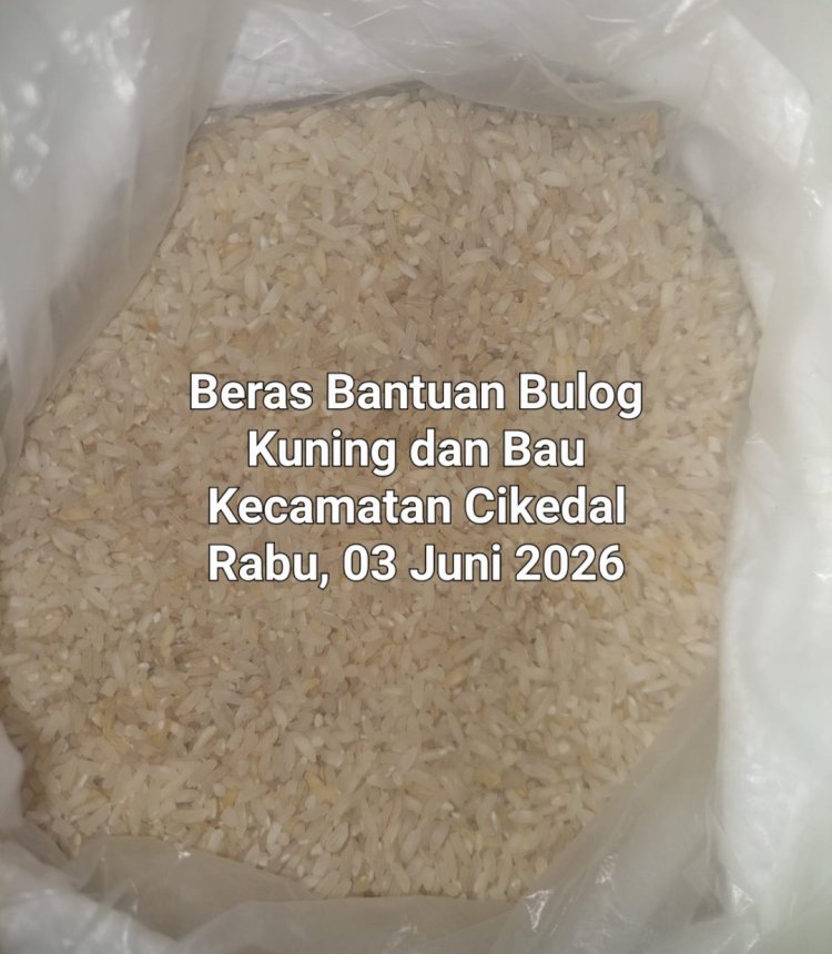 Bantuan Beras Bulog Periode Mei-Juni 2026, Di Kecamatan Cikedal Pandeglang, Berwarna Kuning & Apek