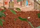 ‎Setelah Pipa ke Situ Cikedal Dicabut, Muncul Penggalian di Sekitar Dapur SPPG Aisha — Publik Kembali Bertanya, Limbah Akan Dialirkan ke Mana?