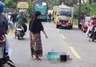 RENTETAN KECELAKAAN MERENGGUT NYAWA, LSM KOMANDO HAM DESAK EVALUASI DAN PENCABUTAN IZIN OPERASIONAL PO ASLI PRIMA