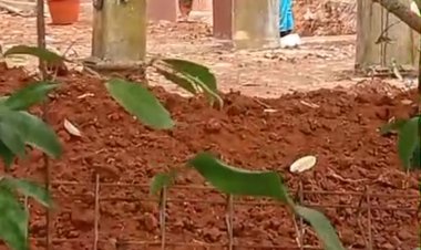 ‎Setelah Pipa ke Situ Cikedal Dicabut, Muncul Penggalian di Sekitar Dapur SPPG Aisha — Publik Kembali Bertanya, Limbah Akan Dialirkan ke Mana?