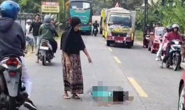 RENTETAN KECELAKAAN MERENGGUT NYAWA, LSM KOMANDO HAM DESAK EVALUASI DAN PENCABUTAN IZIN OPERASIONAL PO ASLI PRIMA